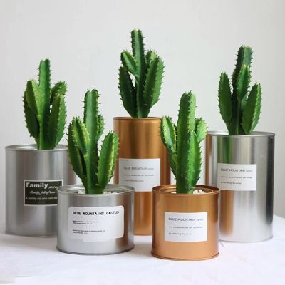 Artificial Potted Green Cactus Tropical Fake Plants Suitable For Decoration Sun Decorate Balcony Living Room Background Wall