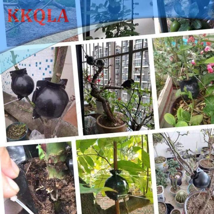 qkkqla-5pcs-plant-root-growing-box-high-pressure-gardening-plant-root-ball-breeding-case-for-garden-grafting-rooting-box