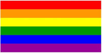 LGBT Rainbow Flag Sticker Car Decal Bumper Sticker Gay Pride Lesbian Bisexual Transgender Support 12cm*7cm Electrical Connectors