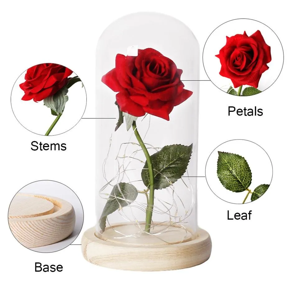 Beauty And The Beast Rose Rose In Glass Dome Red Rose Preserved Rose Belle Rose Special Romantic Gift Best Gift For Any Occasion Beauty And The Beast Dome Rose Glass Flower Red