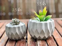 กระถางปูน กระถางต้นไม้ กระถางแคคตัส กระถางทรงกลม กระถางปูนเปลือย cement pot cactus handmade DIY