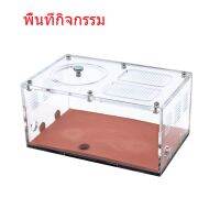 รังมด ฟาร์มมด อะคริลิค Ant Farm อุณหภูมิควบคุมคอนกรีต Ant Nest Infinite Expansion Insect House Colony Drinker Anthill Kit อุปกรณ์เสริม จัดส่งที่รวดเร็ว ของขวัญฟรี ถังขยะภายนอกและตัวป้อนน้ำภายนอกมีลิงค์แยกต่างหากในคำอธิบายด้านล่าง