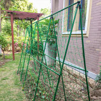 Cumber Trellis Set A-Frame For Garden Vegetable Plant Grow รองรับพืชปีนเขาที่ถอดออกได้ด้วยตาข่ายและคลิป