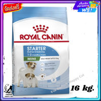 ส่งรวดเร็ว ? Royal Canin Mini Starter Mother &amp; Babydog อาหาร ลูกสุนัข และ แม่สุนัข พันธุ์เล็ก ขนาด 16 kg.  ✨