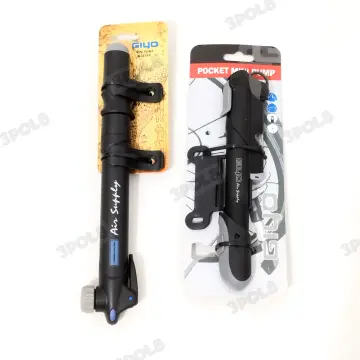 Dual action sales bike pump