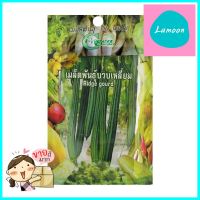 เมล็ดพันธุ์บวบ กรีน การ์เด้นRIDGE GOURD SEED GREEN GARDEN **บริการเก็บเงินปลายทาง**