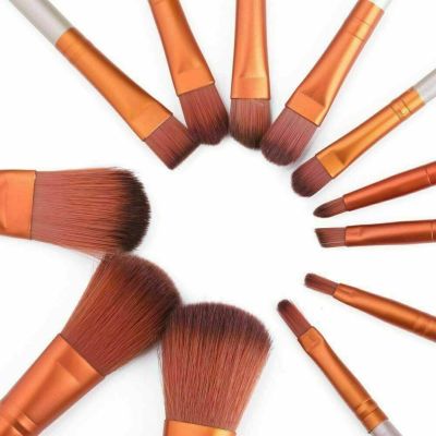 12x Professinal Make up Brushes Set for Kabuki Powder Foundation Blusher + Case