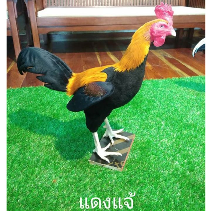 ตุ๊กตาไก่-ไก่ปลอม-ไก่ยางตุ๊กตา-ไก่นวม-เหมือนไก่จริงที่สุด-ออกกำลังกายไก่-ฝึกไก่-ไก่ยางซิลิโคน-กีฬาและกิจกรรมกลางแจ้ง-แดงแจ้-พร้อมฐาน