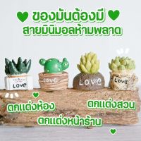 MS4806 โมเดลกระบองเพชรจิ๋ว 4 แบบ กระบองเพชรปลอมแต่งสวน