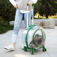 ❃❇ Suitcase Wheels Carrying Cats Pet Dog Cat Trolley Suitcase Luggage - Pet Dog Cat - Aliexpress