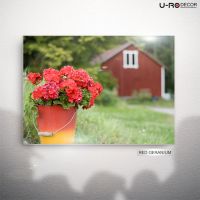 U-RO DECOR รุ่น RED GERANIUM ภาพพิมพ์ติดผนัง ขนาด 50 x 70 ซม.