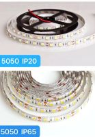 ไฟเส้น LED Strip Light 5050 60LED 12V มีIP65และIP20 กันน้ำ (ยาว 5 เมตร) มีหัวแจ็ค DC