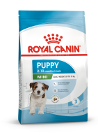 Royal petshop Puppy Mini ลูกสุนัขพันธุ์เล็ก อายุ2-10เดือน ขนาด 4kg.