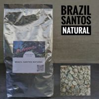 [Sold Out] Brazil Santos Natural green beans สารกาแฟบราซิล ซานโตส