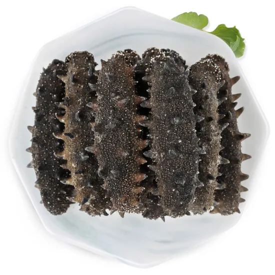 Frozen Sea Cucumber 1kg Lazada PH