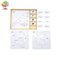 Treeyear Montessori Botany Puzzle Activity Set Montessori Animal Puzzle Activity Set Learning Toys for Toddlers