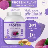 Protein Plant โปรตีนแพลนท์ สูตร 1 รสมันเทศ สีม่วง (ขนาด 5 ปอนด์ 5LBS ปริมาณ 2.27 kg.) โปรตีนจากพืช 3 ชนิด ออแกรนิค โปรตีนจากข้าว ถั่วลันเตา มันฝรั่ง