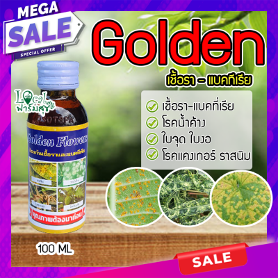 โกลเด้น Golden กำจัดโรคน้ำค้าง เชื้อรา-แบคที่เรีย  ใบจุด ใบงอ โรคแคงเกอร์ ราสนิม ปุ๋ยน้ำ กำจัดแมลง 100 ML. homes