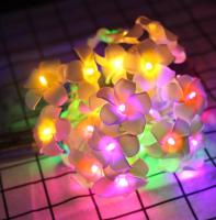 20 LED simulated egg flower light string led battery box holiday wedding Christmas decorative lights