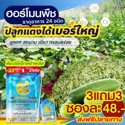 🌿ทดลอง 3 แถม 3 ส่งฟรี🌿 extra plus - เอ็กตร้า พลัส 1 ปุ๋ยอินทรีย์ อาหารเสริมพืช ปุ๋ยฮอร์โมนพืช กรดอะมิโน สารบำรุงพืช 24 ชนิด