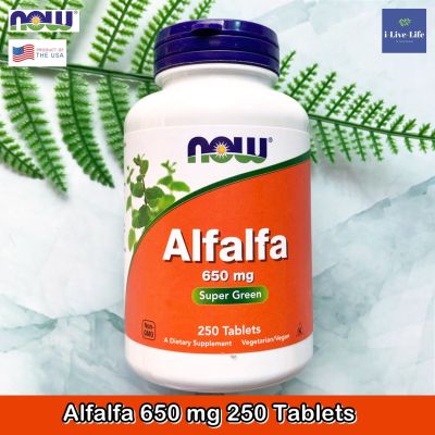 อัลฟัลฟา Alfalfa 650 mg 250 Tablets - Now Foods แหล่งวิตามินเค จากพืชตระกูลถั่วขนาดเล็ก อุดมไปด้วยวิตามิน