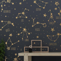 Hand Drawn Zodiac Conslations And Star Decals Large Collection Wall Vinyl Stickers Murals Room Decoration Free Shipping 2152