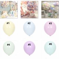 MACARON PAS Balloons Size 10 Inches (20 PCS PER PACK)