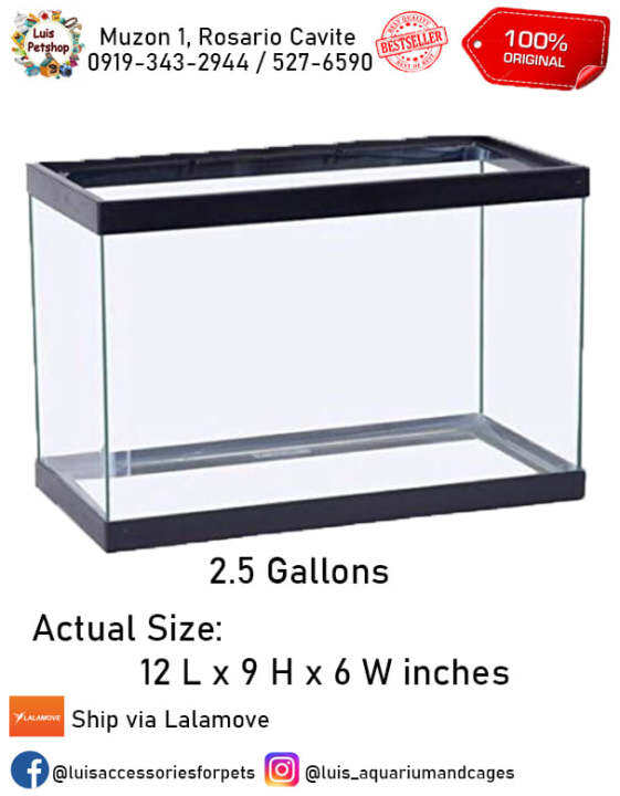 2.5 gallon fish tank empty aquarium | Lazada PH