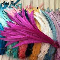 ┅▩┇ 500pcs Hot pink/fuchsia rooster tails Feather 25-30cm/10-12inch coque cock tail Feather for wedding amp;christmas decorations crafts