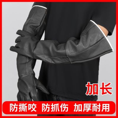 High-end Original Anti-dog bite dog bath gloves extended anti-cat scratch gloves training dog pet anti-bite hand teasing cat hedgehog thickened