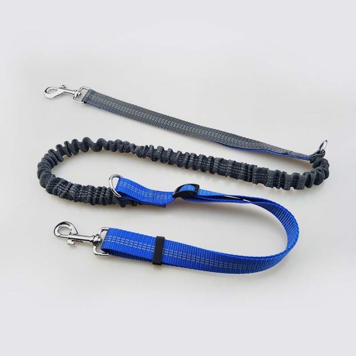 pet-leash-dog-leash-waist-waterproof-pockets-traction-rope-running-belt-elastic-hands-freely-jogging-pull-pet-supplies