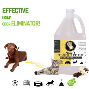 Dog poop cheap odor eliminator