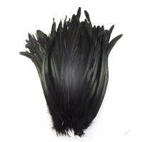 100pcs/lot natural black Beautiful Rooster feathers 25-30 cm / 10 to 12 inches