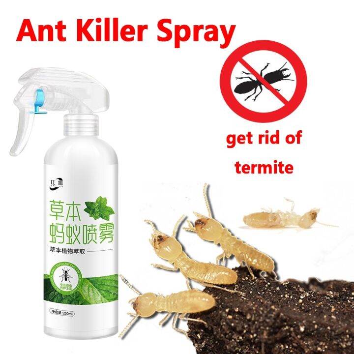 ants spray killer (ant killer) 250ml insecticide termite killer pest