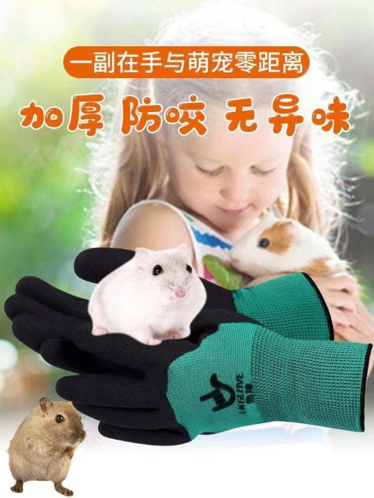 high-end-original-new-product-small-pet-anti-bite-gloves-hamster-supplies-childrens-protective-gloves-animal-anti-scratch-cat-rabbit-gold-wire