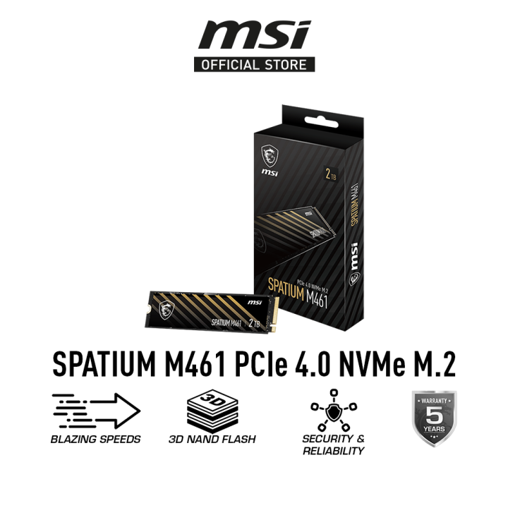 MSI SSD Spatium M461 PCIe 4.0 NVMe M.2 (PCIe GEN4x4 | 5 Years