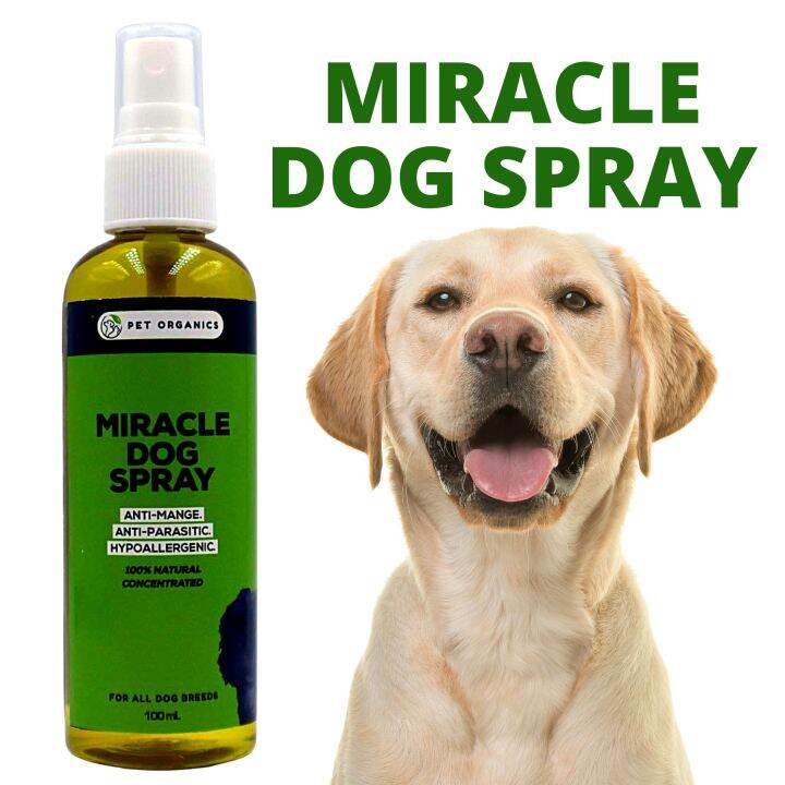 Miracle Dog Spray 100ml antimange antiparasitic 100 Natural