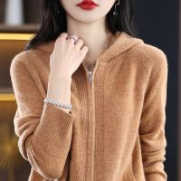 100% Wool Cashmere Cardigan Sweater Womens Solid Knitted Long Sleeve Hooded Womens Pure Wool Sweater Hot in Autumn and Winter