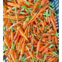 เบบี้แครอท Baby Carrots (ผักสด Sizeขนาดกลาง) บรรจุ 500กรัม