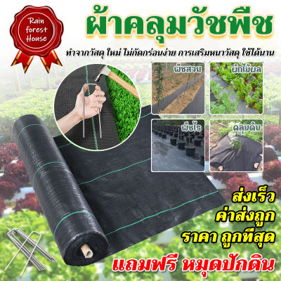 [ส่งจากไทย ค่าส่งถูก] คลุมวัชพืช (ยาว100ม.) กำจัดหญ้า พลาสติกคลุมดิน พลาสติกคลุมวัชพืช พลาสติกคลุมหญ้า ผ้าคลุมดิน ผ้าคลุมวัชพืช ป้องกันวัชพืช