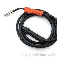 hk♨☋♨  350A European type PANA-350A CO2 Welding Torch 5M