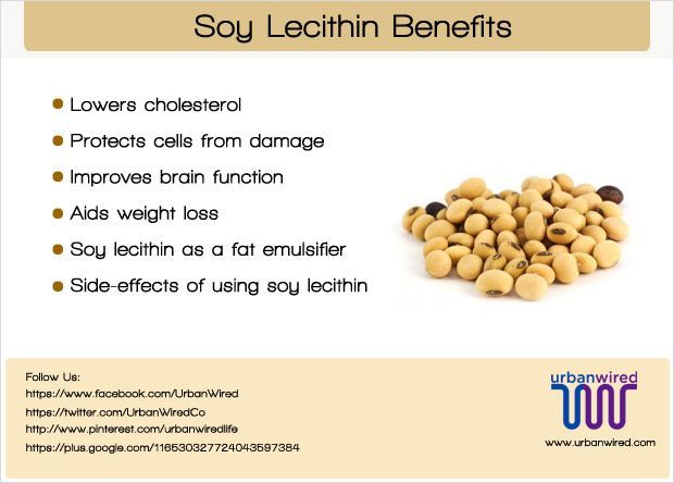 เลซิตินจากถั่วเหลือง-lecithin-1200-mg-200-softgels-source-naturals