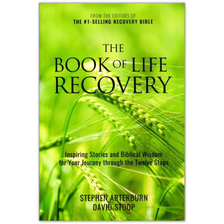 The Book of Life Recovery - Stephen Arterburn & David Stoop | Lazada PH