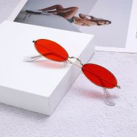 Retro Small Oval Sunglasses Vintage Shades Fashion Design Sun Glasses for Men Women Eyeglasses 90s Street Style Sun Glasses