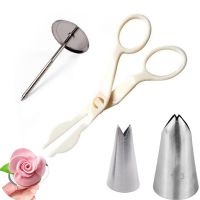 【CC】♨◙๑  4Pcs/set 2 Pastry Nozzle Tips   1 Piping Scissors Tray Transfer Decorating