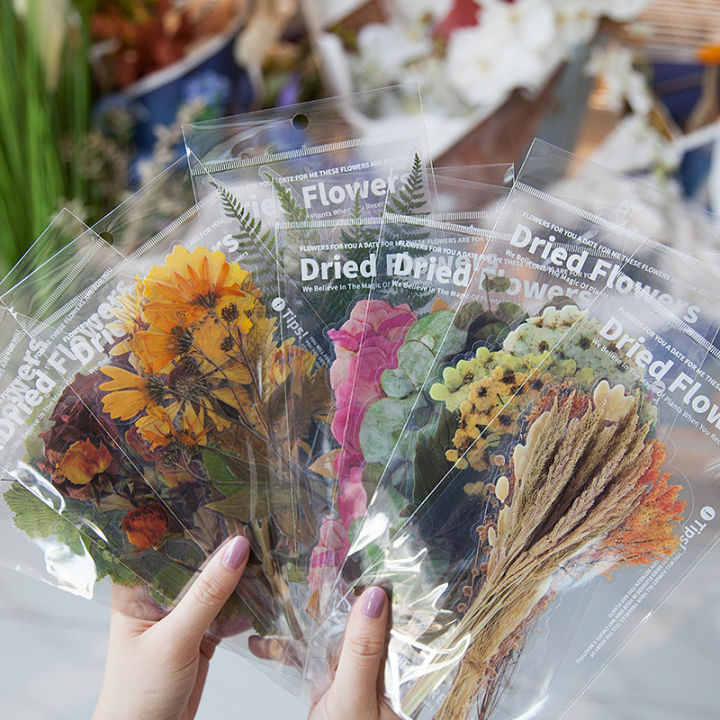 o-urhome-สติ๊กเกอร์พ็อกเก็ตพืช-6pcs-decorative-dried-flower-stickers-สติ๊กเกอร์-ดอกไม้แห้ง-เกอร์ตกแต่งสมุดติดวางแผนวารสารการเดินทางสติกเกอร์เครื่องเขีย