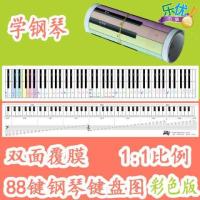 Color88Key Standard Size Piano Key-Board Paper Staff Wall Chart Piano Sound Control Staff Table Piano Learning