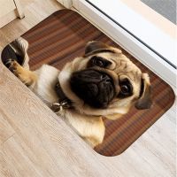 Cute Pug Husky Dog Pattern Anti-Slip Carpet Living Room Mat Doormat Kitchen Bathroom Bedroom Floor Mat Home Hallway Doormat