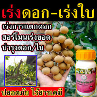 ?พร้อมส่ง?[ไร้สารเคมี] ฮอร์โมนเร่งยอด สารสาหร่ายสกัดเข้มข้น  เร่งยอด กระตุ้นการแตกตา เร่งแตกยอด ยาเร่งการแตกตา น้ำยาเร่งการแตกตาพืช ปุ๋ยเร่งยอด มี ไซโตคินิน ฮอโมนไซโตไคนิน