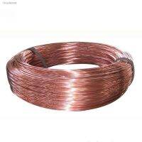 ¤ 1M Diameter 0.2/0.3/0.4/0.5/0.6/0.8/1/1.2/1.5/1.8/2/2.5/3/4/5 mm Copper line T2 Copper Red copper Line Bare Wire 99.90